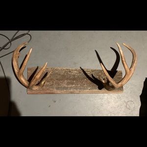 Meet your Posher, Andy